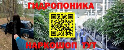 мяу мяу мука Жуковский
